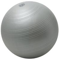 Togu Powerball Challenge ABS One size 55-65 cm