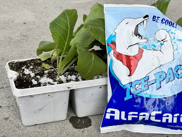 AlfaCare Ice-Pack 14 x 21 cm Norskprodusert ispose 