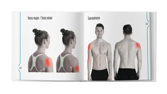 Frisk Skulder Mindre Smerter, Trygt og Enkelt 