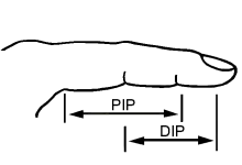 DeRoyal PIP Ekstensjonsfjær Medium 