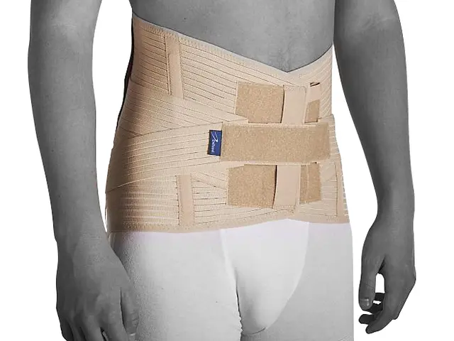 DeRoyal  EU 3001-3  Dorsum MX Høy M 