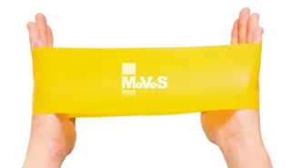 MoVeS Wide Loop Lett Gul