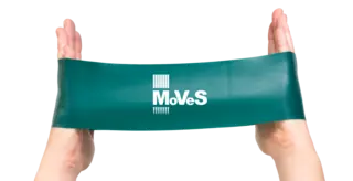 MoVeS Wide Loop Hard