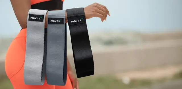 MoVeS Fabric Elastic Loop Set 