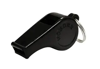 Dommerfl&#248;yte Assistsport