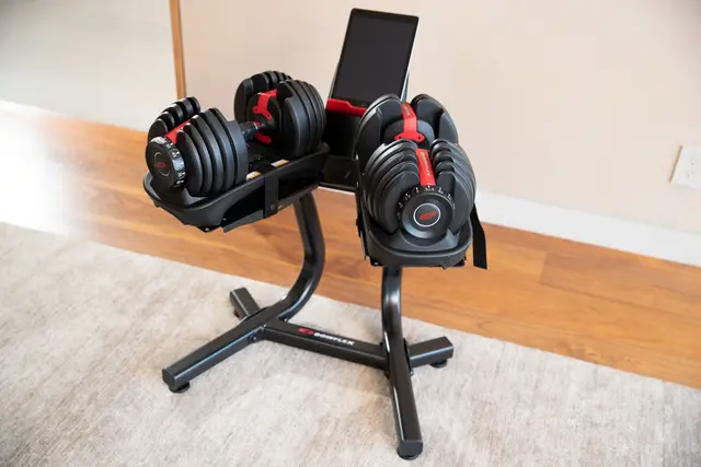 Bowflex SelectTech 552i 2-24 kg 