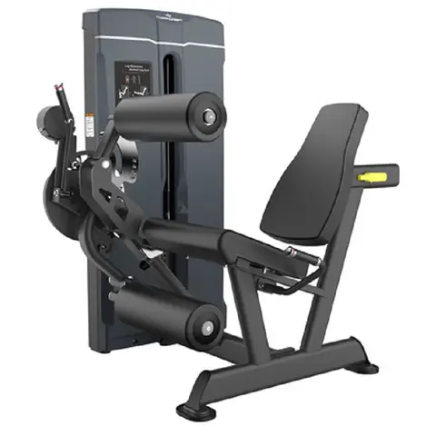 Gymsport Leg Extension / Curl Kombi