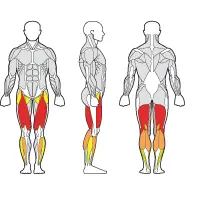 Gymleco Leg Extension / Curl Kombi 