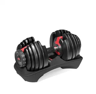 Bowflex SelectTech 552i 2-24 kg