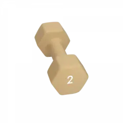 Abilica DumbBells 2 kg