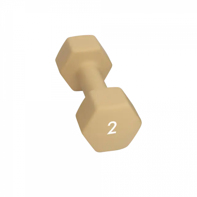 Abilica DumbBells 2 kg 