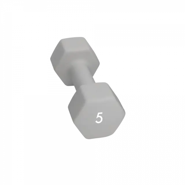 Abilica DumbBells 5 kg 