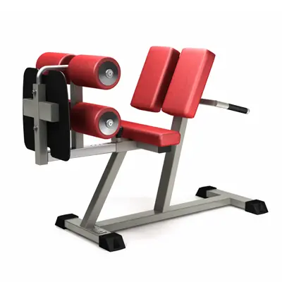 Gymleco Rygghev - Glute / Ham Raise 