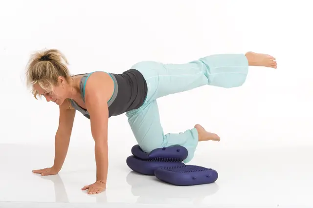 Togu Dynair-A Balansepute 