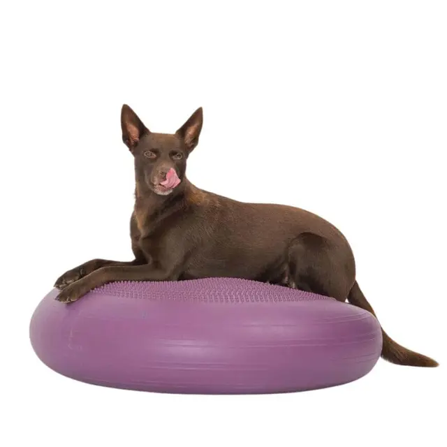 Togu Dynair Extreme 80 cm 