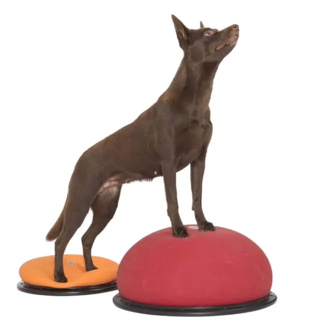 Togu Jumper Størrelse: 52 x 24 cm 