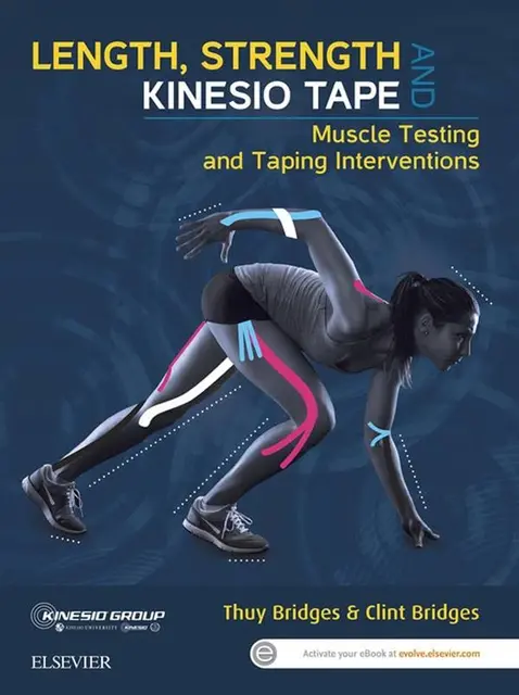 Bok Length, Strength and Kinesio Tape Thuy Bridges 