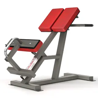 Gymleco Rygghev 45 Grader