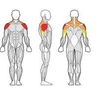 Gymleco Skulderpress 