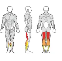 Gymleco LegCurl - Sittende 