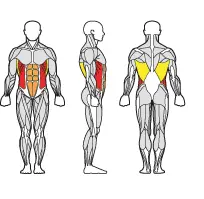 Gymleco Rotasjonstrener 