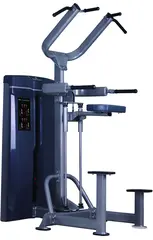 Gymsport Chin/Dip assistert