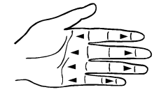 DeRoyal 501 PIP S Ekstensjonsfjær Lang 