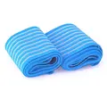Globus Blue Elastic Bands